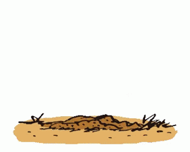 Gifs animés bonjour snoopy